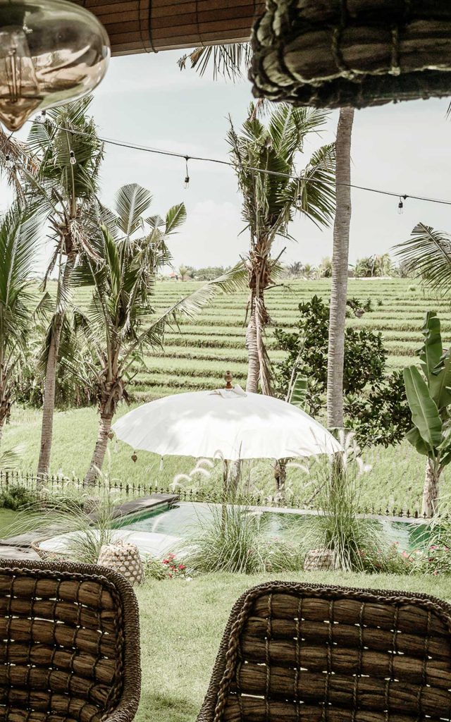 Rimba Canggu 06