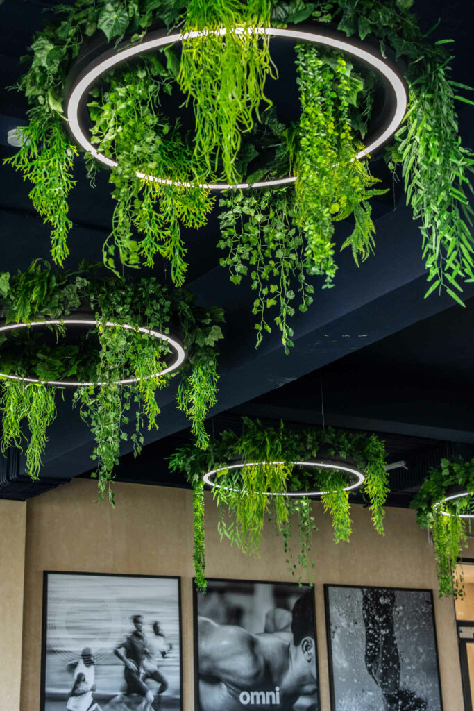 Lighting & Decor (2) (2)
