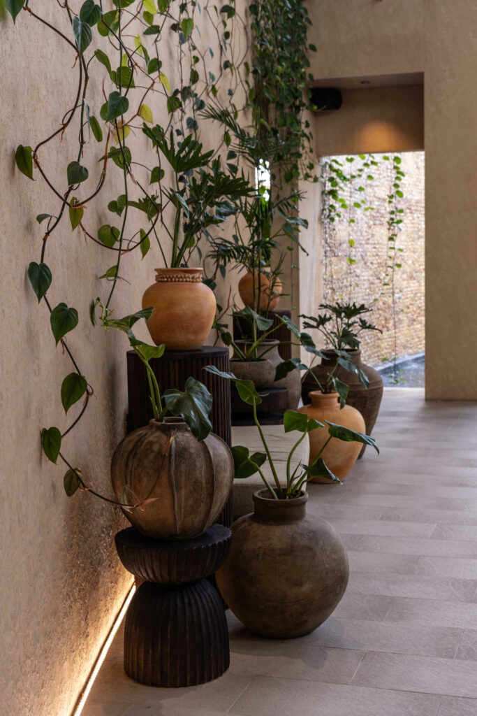 Lighting & Decor (4) (2)