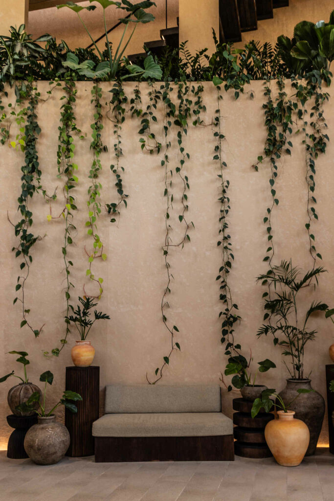 Lighting & Decor (5) (2)