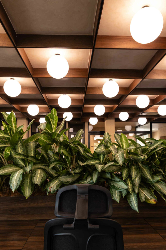 Lighting & Decor (6) (2)